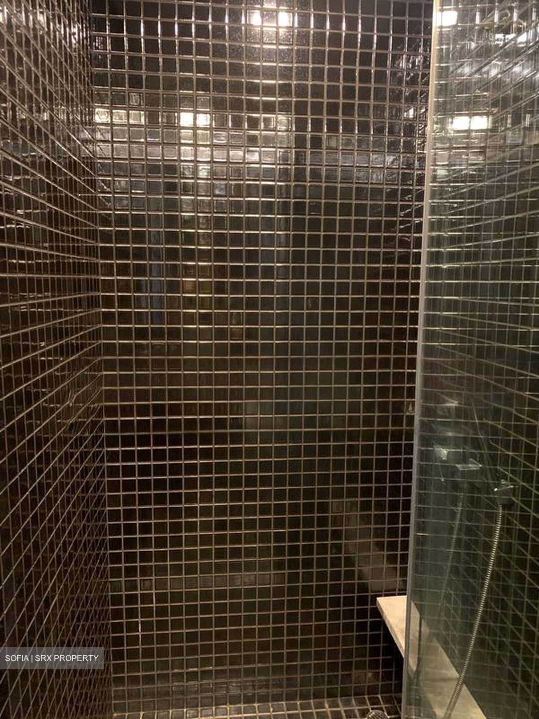 Skysuites@Anson (D2), Apartment #455900521
